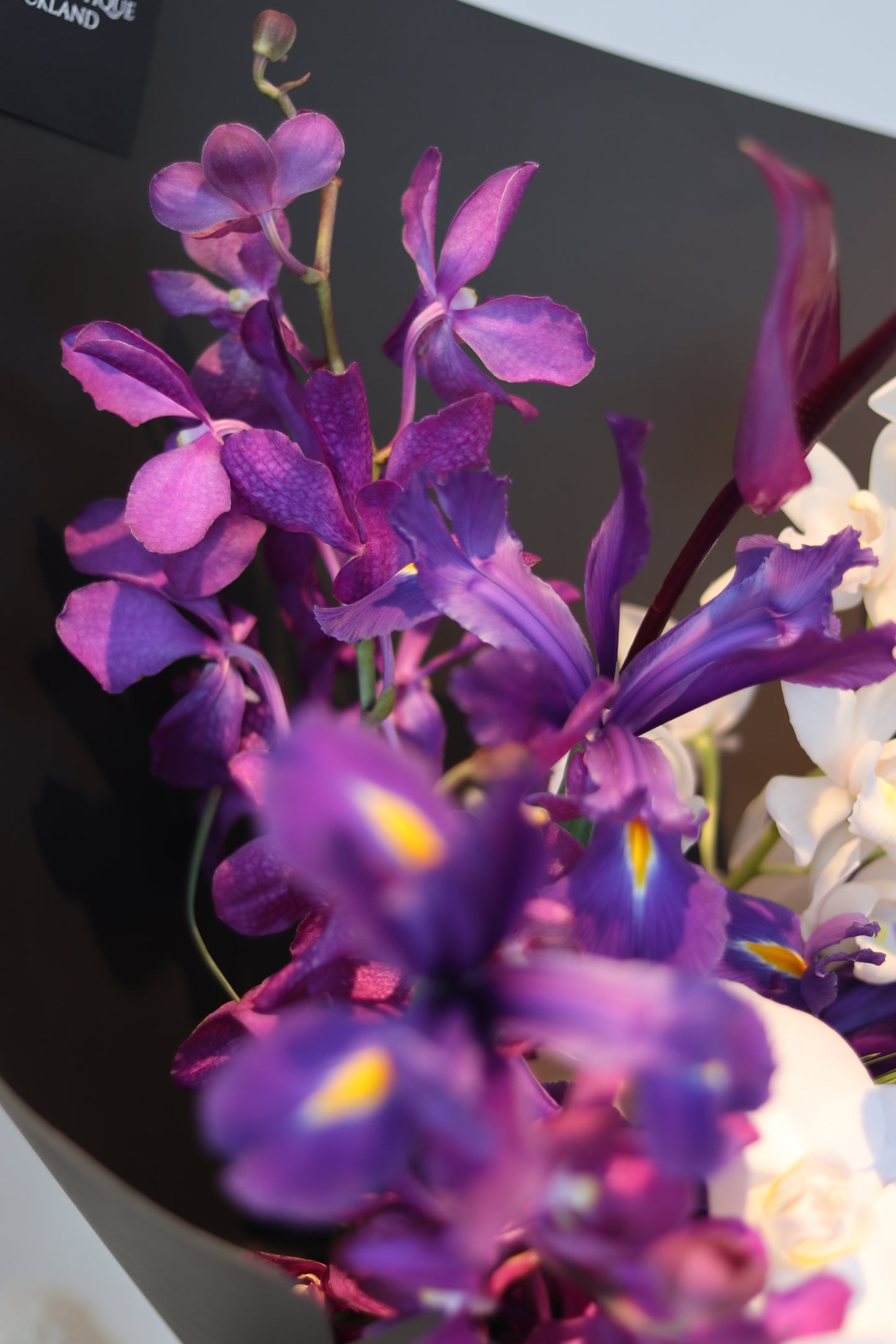 Violet Love Letter| Dark Purple|Special Color Bouquet for Birthday,Valentine's Day