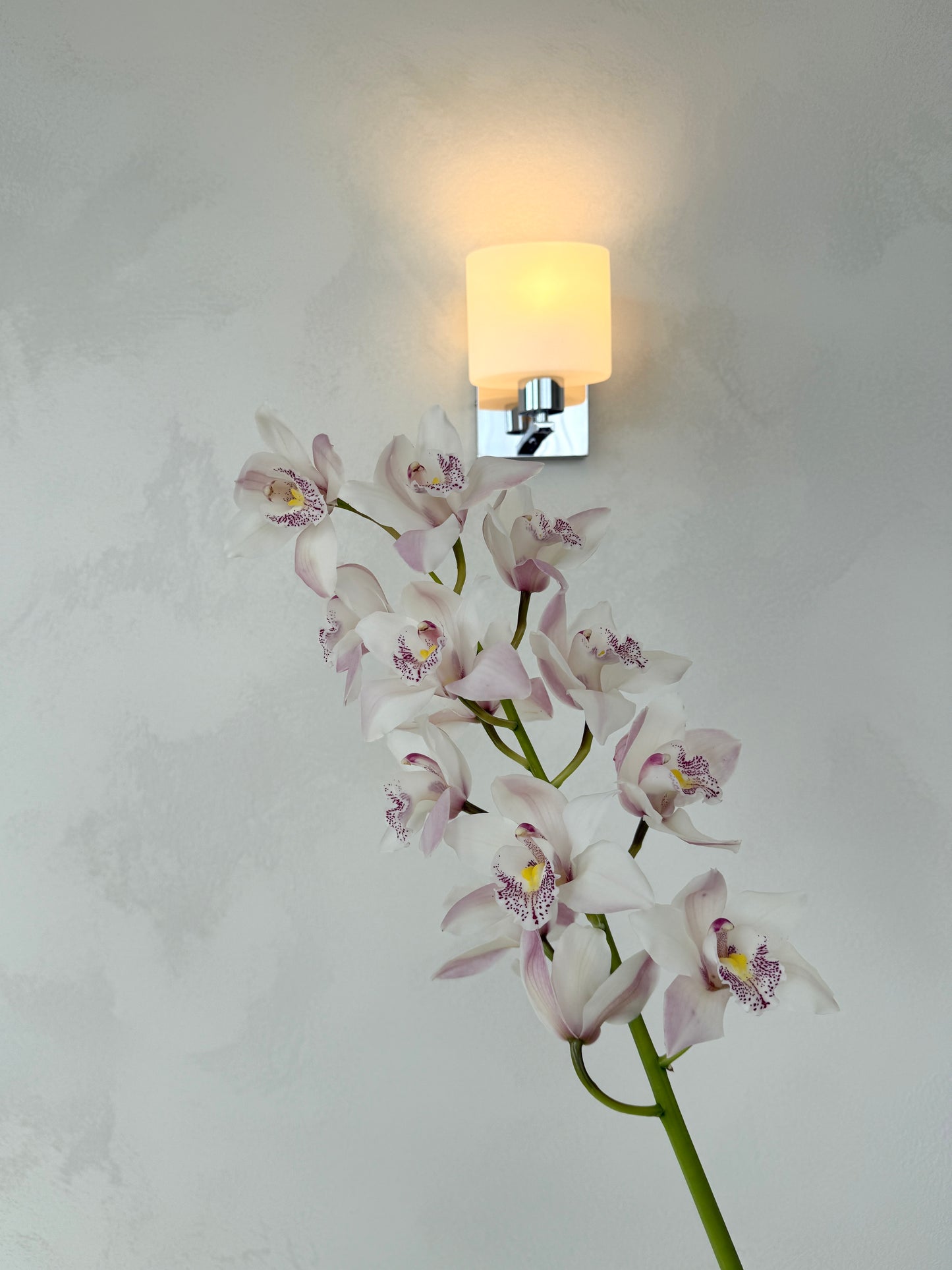Add a cymbidium orchid