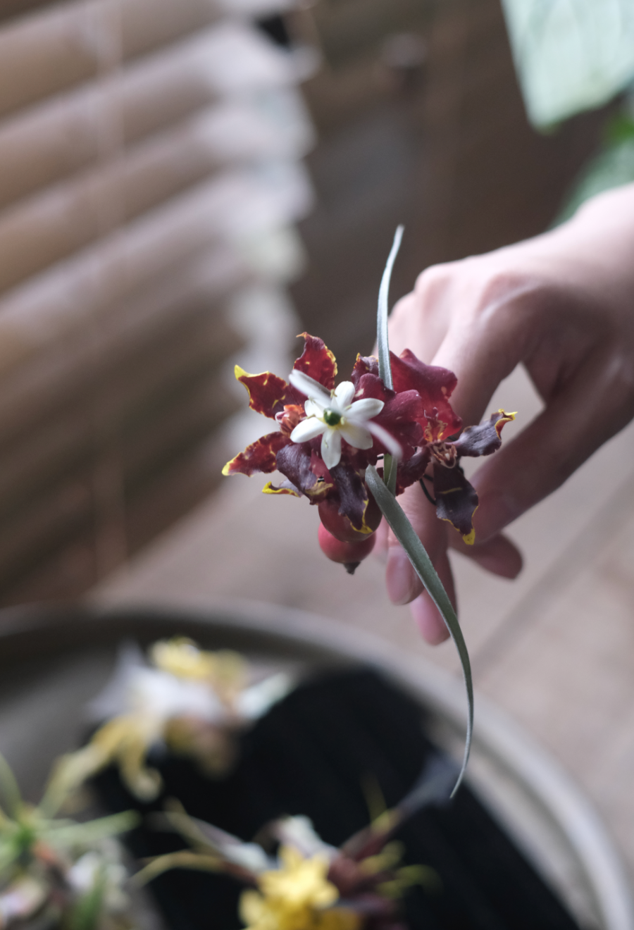 Bespoke floral ring made with fresh flowers, wearable botanical design handcrafted by Rōhi Lab