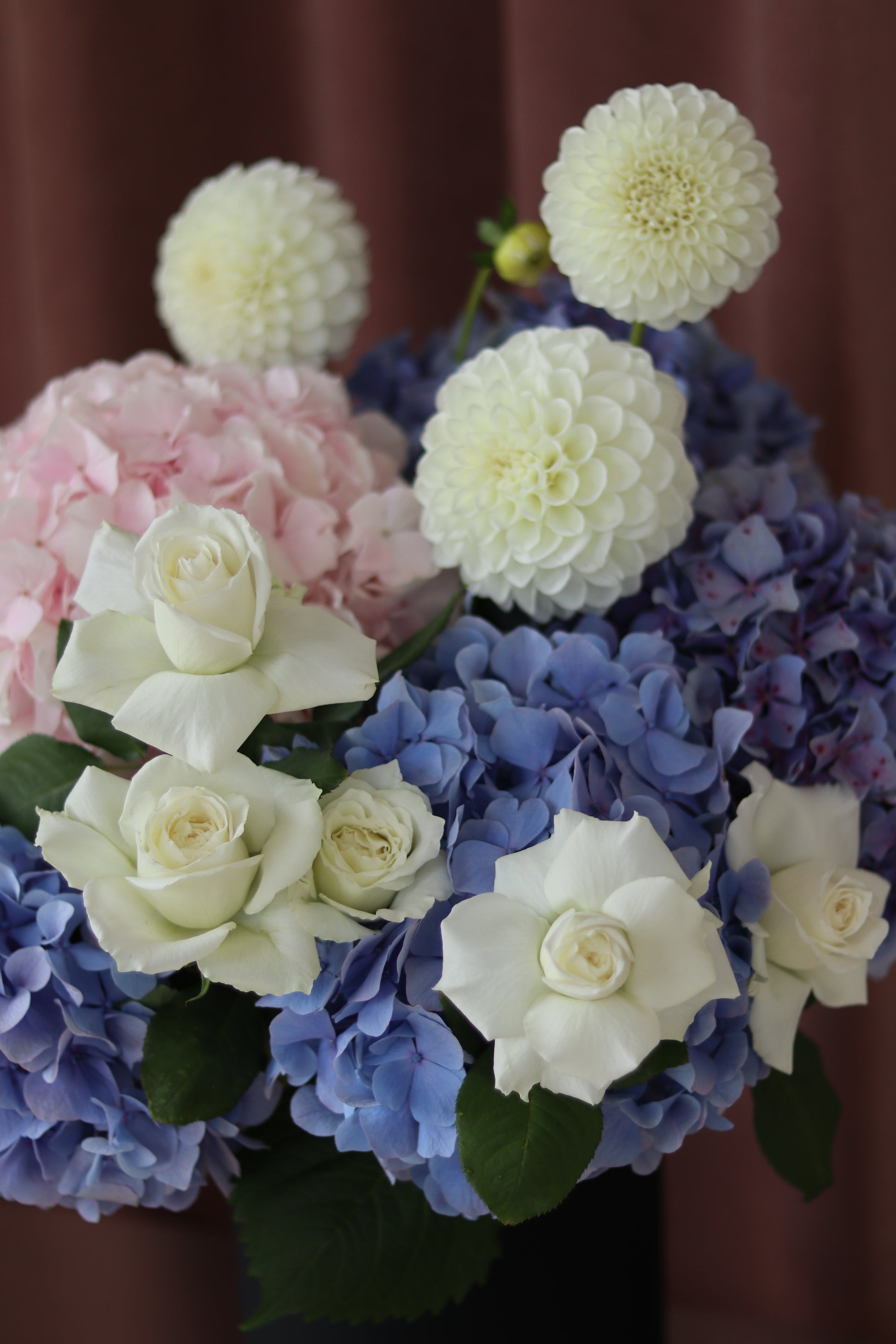 Close-up of pastel hydrangea flowers showing soft blue, blush pink and white petals