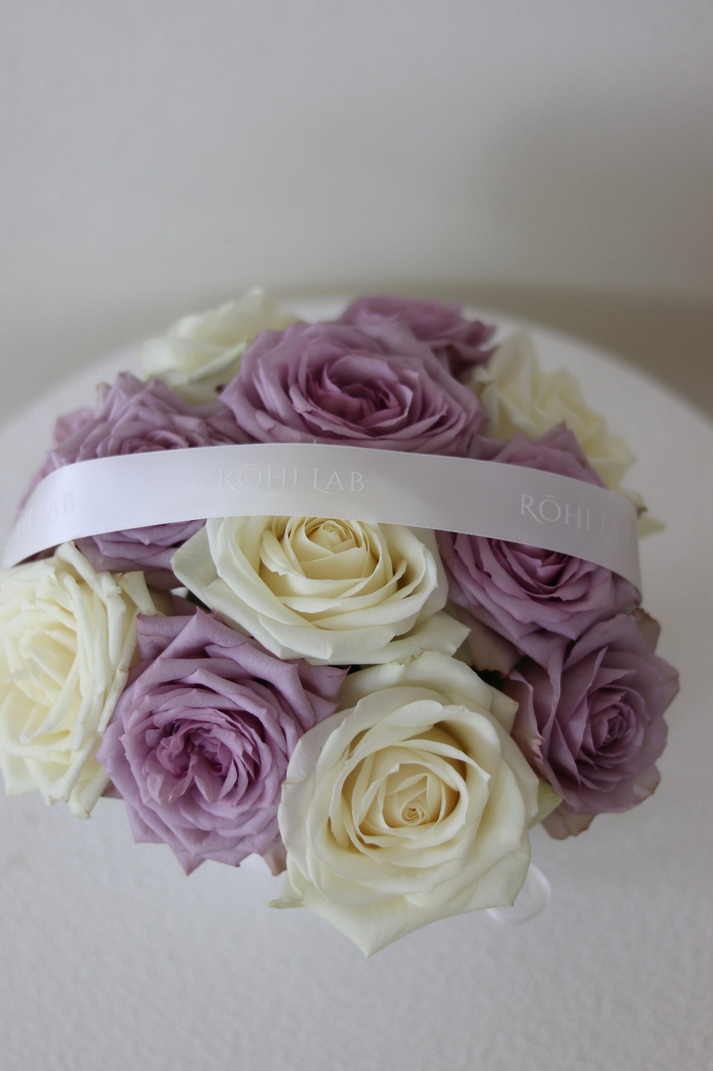 Lavender & Ivory Rose(Summer Limited)