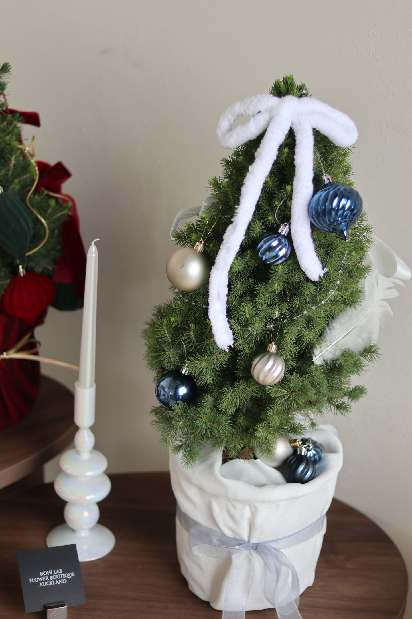 Living Potted Christmas Tree