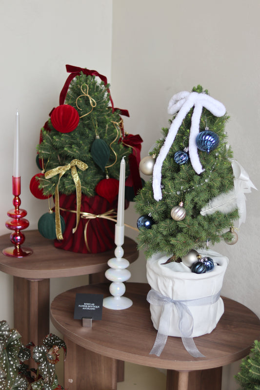 Living Potted Christmas Tree