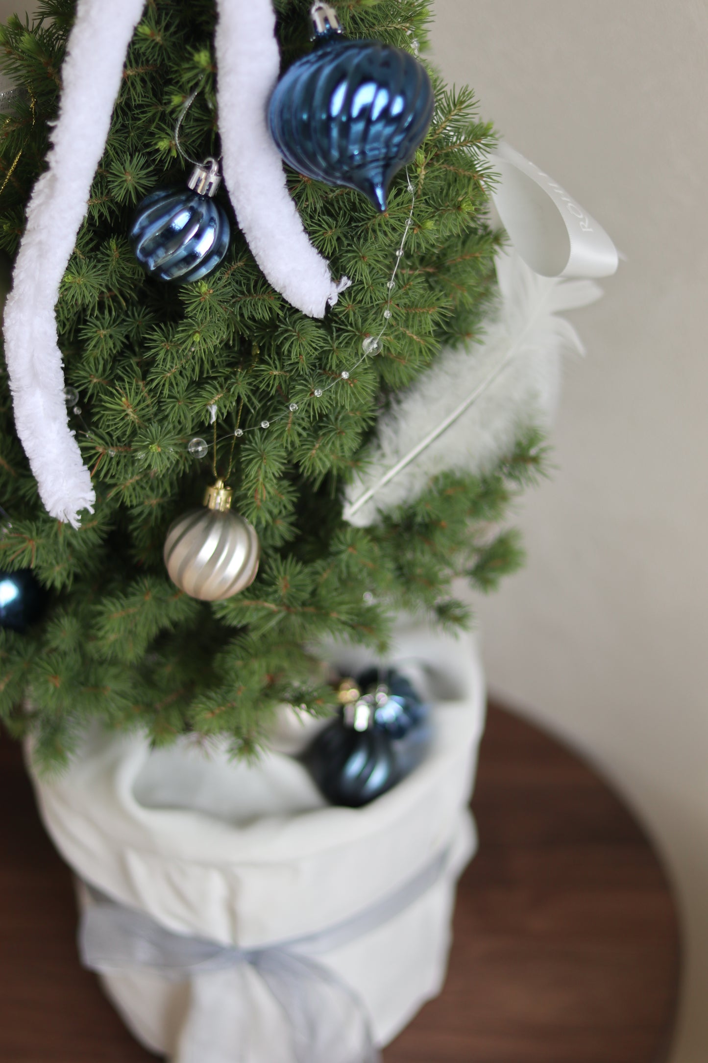 Living Potted Christmas Tree