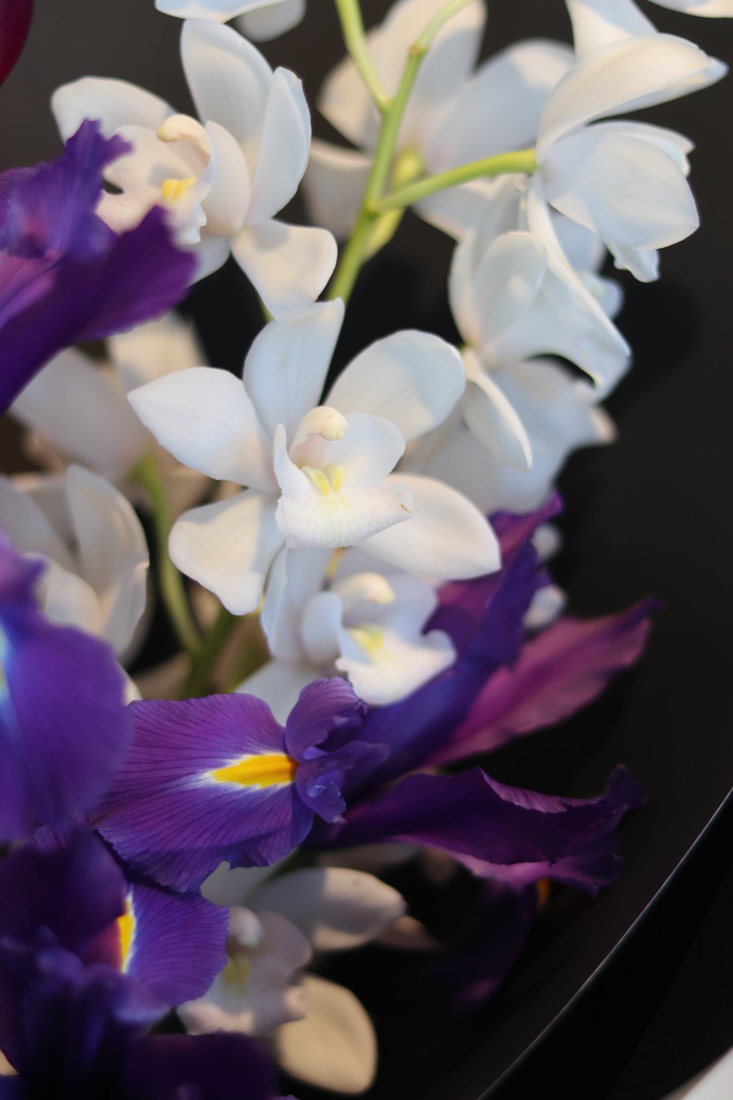 Violet Love Letter| Dark Purple|Special Color Bouquet for Birthday,Valentine's Day
