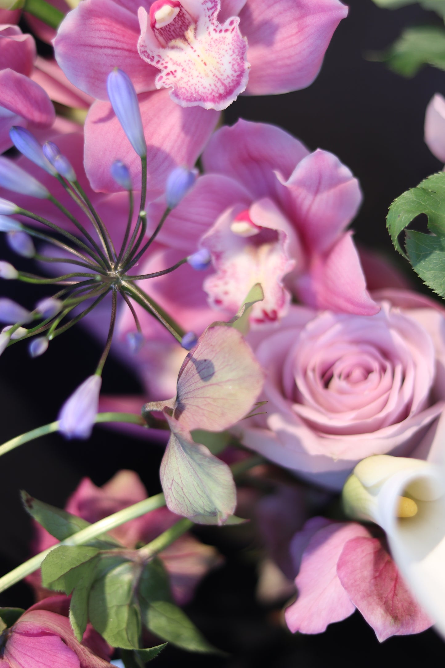 Lavender Whisper|Light Purple| Gift for Birthday,Valentine's Day