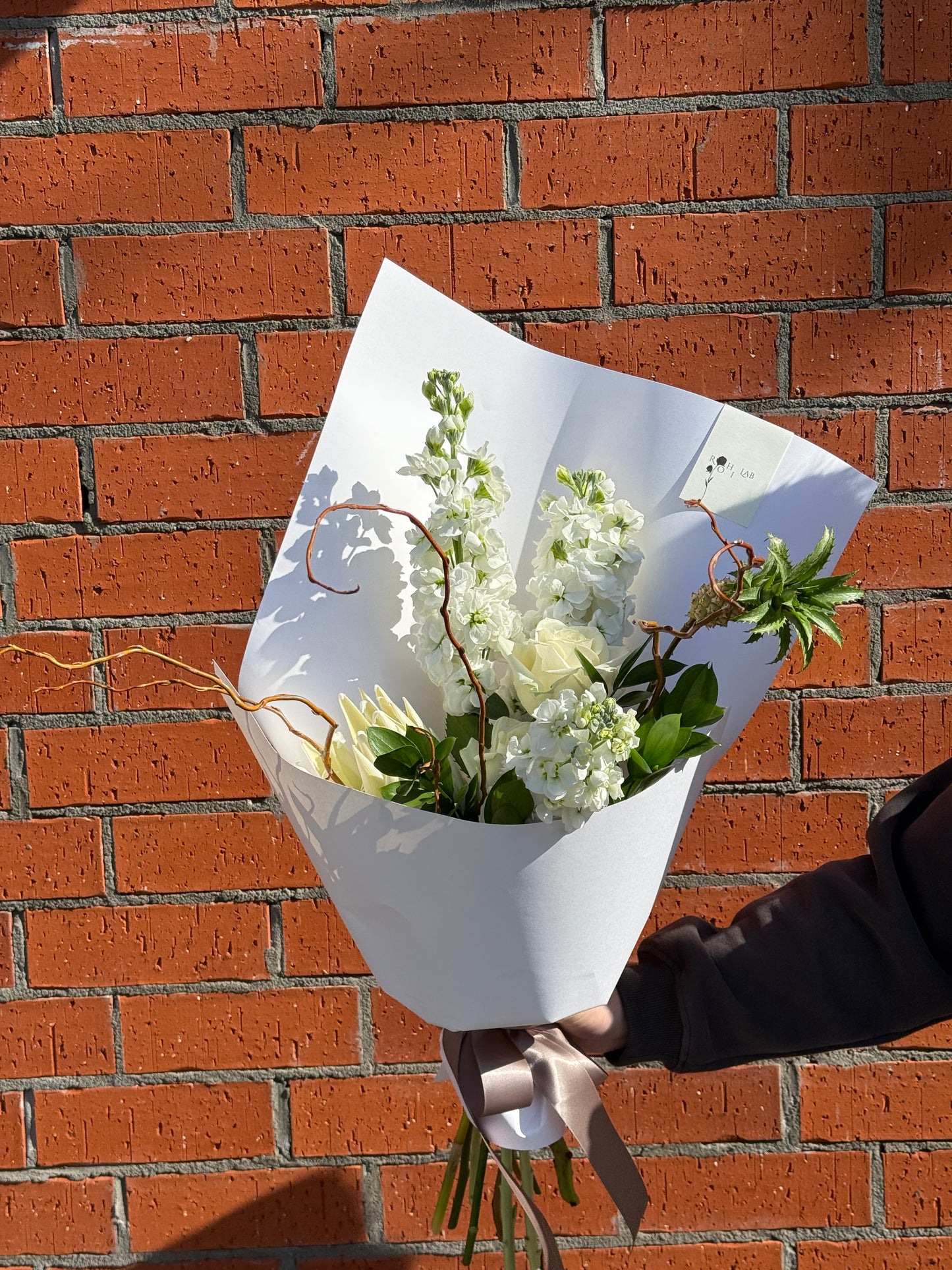 The Crown with King protea