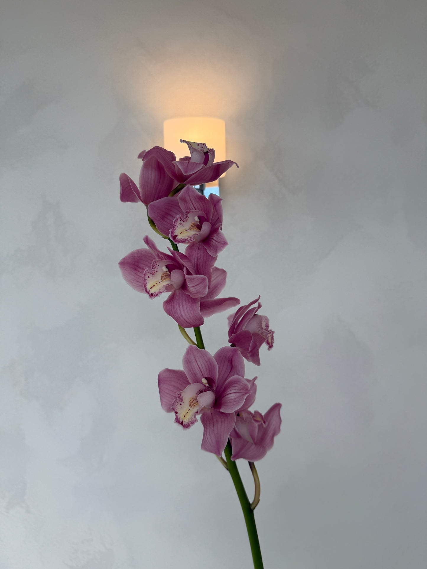 Add a cymbidium orchid