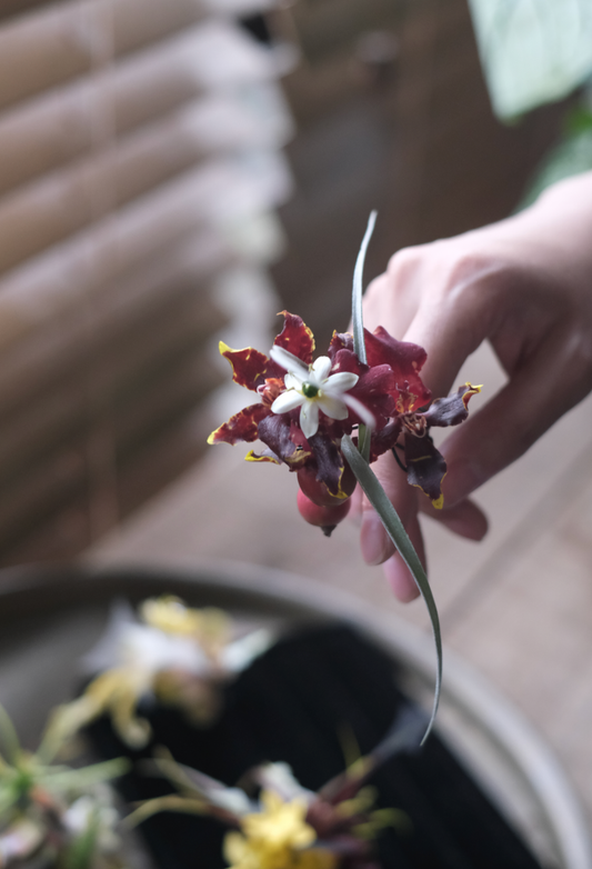 Bespoke floral ring made with fresh flowers, wearable botanical design handcrafted by Rōhi Lab
